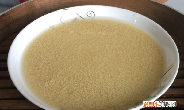 家常锅巴的做法，三鲜锅巴的家常做法窍门