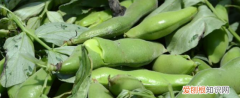 鲜胡豆怎么保鲜，新鲜的胡豆要怎么收藏才保鲜 新鲜的胡豆怎么保存