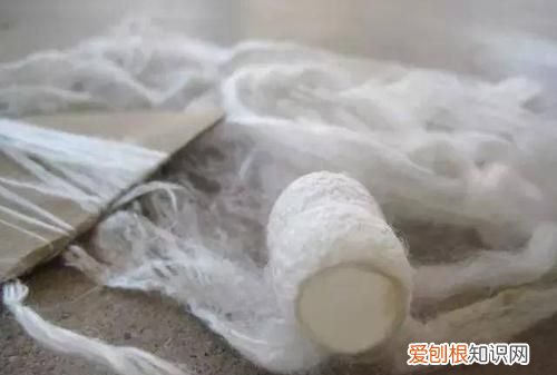 桑蚕丝生丝怎么变熟丝 桑蚕丝生丝和熟丝哪个好