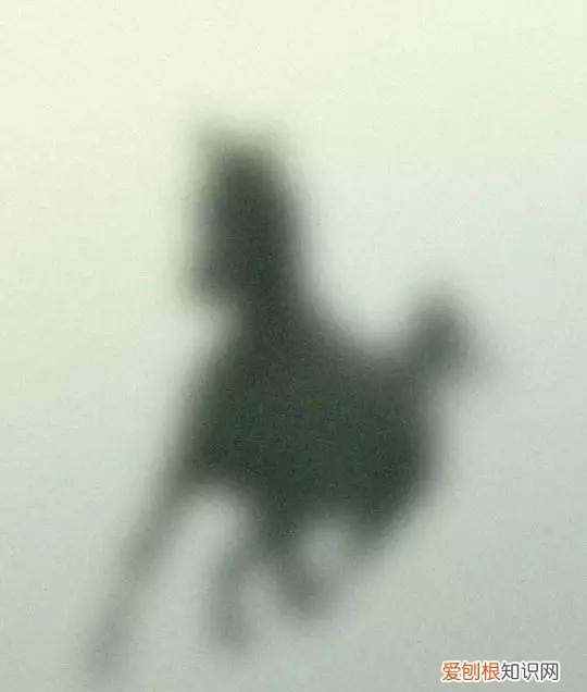 ps添加毛玻璃效果，ps怎么做毛玻璃效果