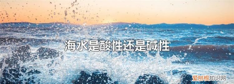 海水真的在变酸 海水是不是真的在变酸