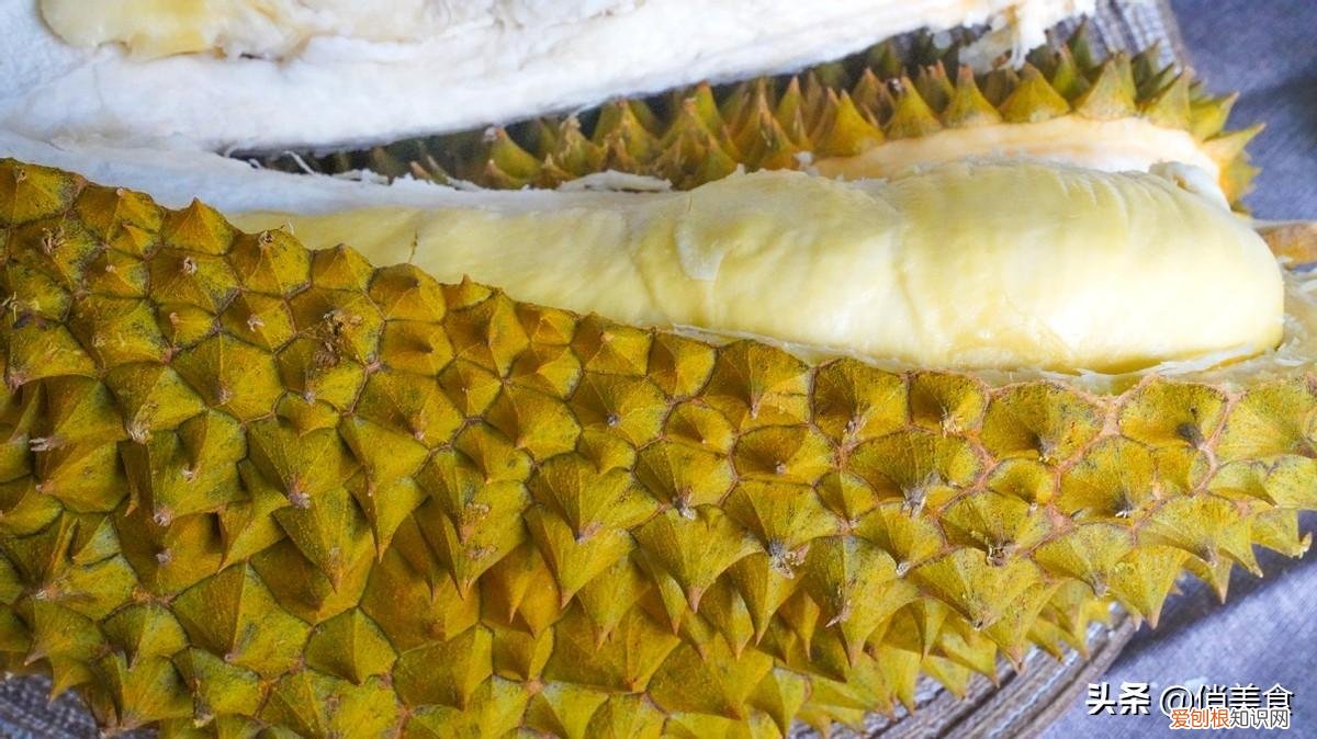 榴莲要怎么选才肉多皮薄 榴莲怎么挑选才肉多皮薄