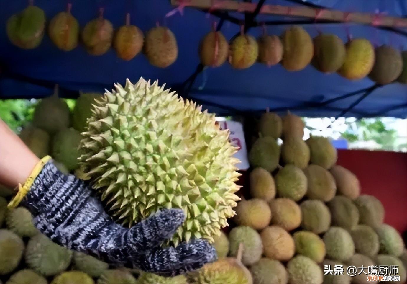 榴莲怎么挑选肉多饱满的图片 榴莲怎么挑选肉多饱满的