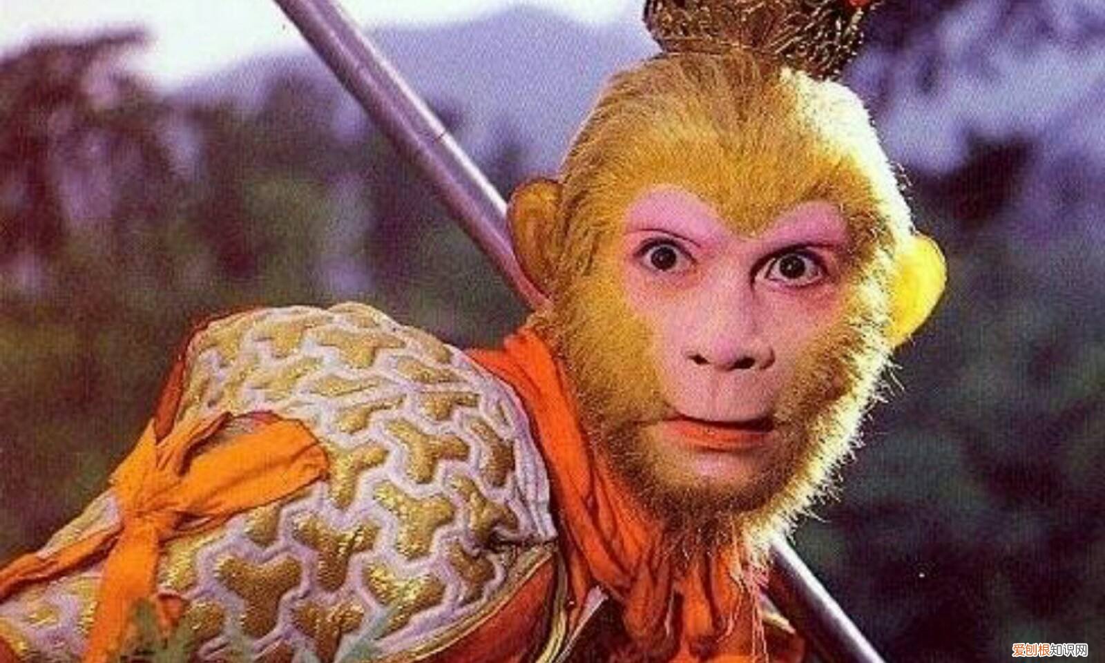 六小龄童被陈道明怼 六小龄童病逝