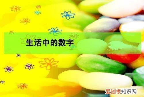 数和数字的区别简单解释，简答数字,数与数据的区别与联系论文