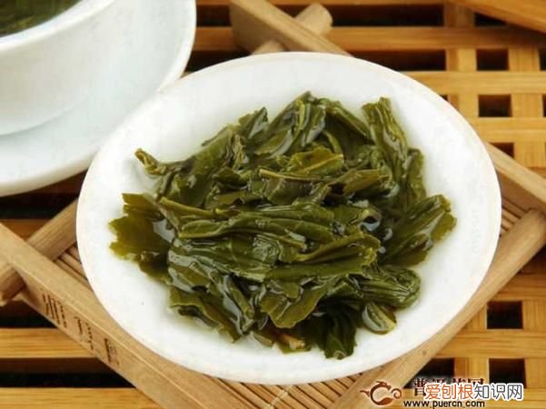 绿茶是热性还是凉性 绿茶是热性的么