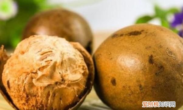 罗汉果是凉性还是热性 罗汉果是凉性还是热性食物