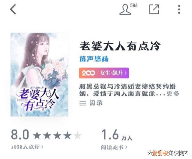 20 有一本小说女主是一名女军官,男主是总裁,生了一个男孩 军官老婆有点冷