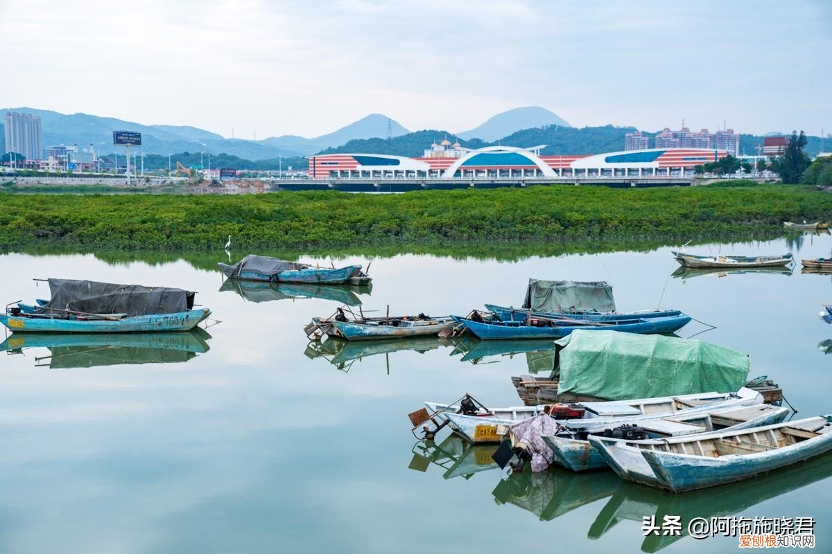 泉州为何有洛阳桥 洛阳桥为何在泉州