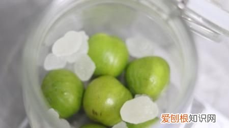 青梅泡酒要把青梅扎孔 青梅泡酒需要把青梅扎孔