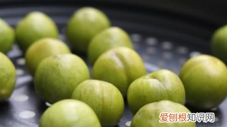 青梅泡酒要把青梅扎孔 青梅泡酒需要把青梅扎孔