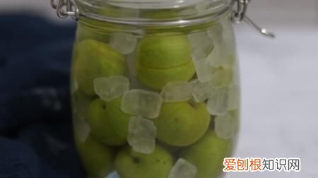 青梅泡酒要把青梅扎孔 青梅泡酒需要把青梅扎孔