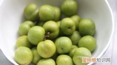 青梅泡酒要把青梅扎孔 青梅泡酒需要把青梅扎孔