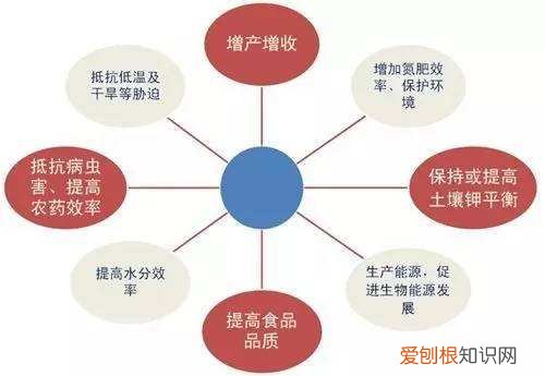 种植农作物离不了钾肥，钾肥有什么作用？过量施用钾肥有什么危害 钾肥的作用