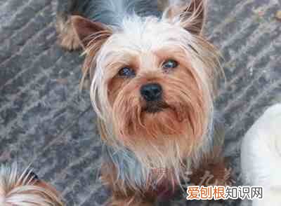 皮肤过敏如何处理 过敏了怎么办最快方法