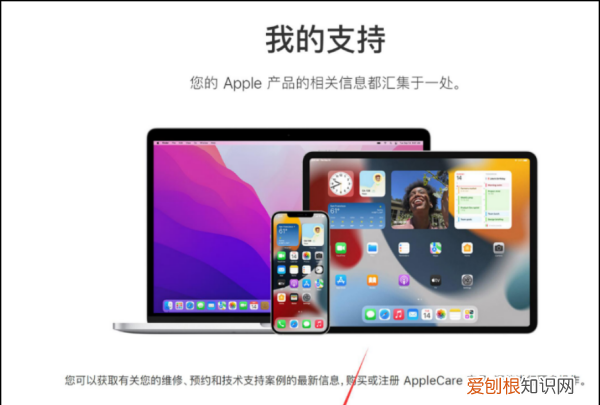怎么查苹果手机激活时间,可以怎么查苹果手机激活时间