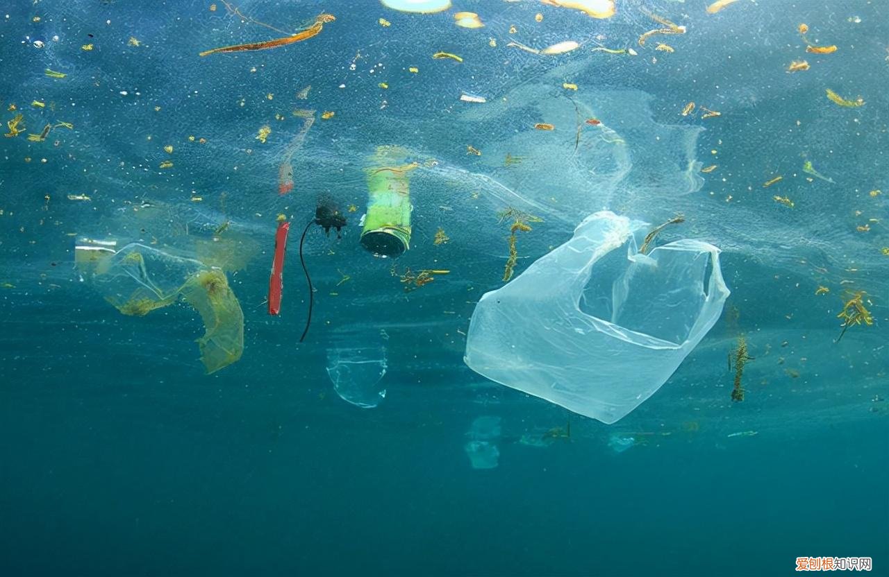 马里亚纳海沟的环境有多恶劣