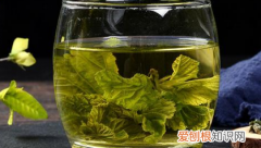 喝桑叶茶有什么好处和坏处 喝桑叶茶的好处和坏处