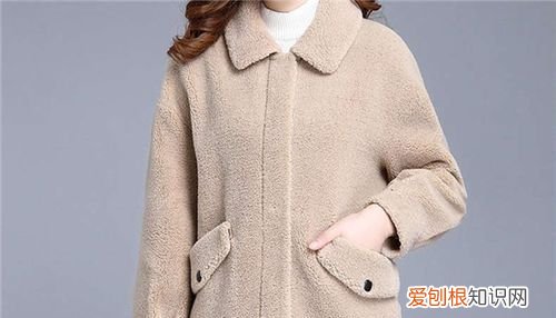 皮毛一体在家怎么清洗绵羊毛 皮毛一体在家怎么清洗