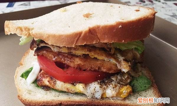 鸭胸肉和鸡胸肉的区别 鸭胸肉和鸡胸肉的区别是什么