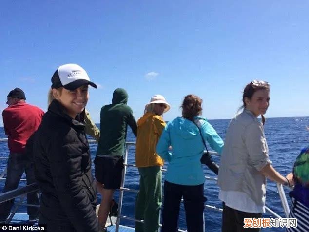 15米长蓝鲸误入繁殖地，被虎鲸分食，体型相差巨大为何被猎杀 蓝鲸有多大