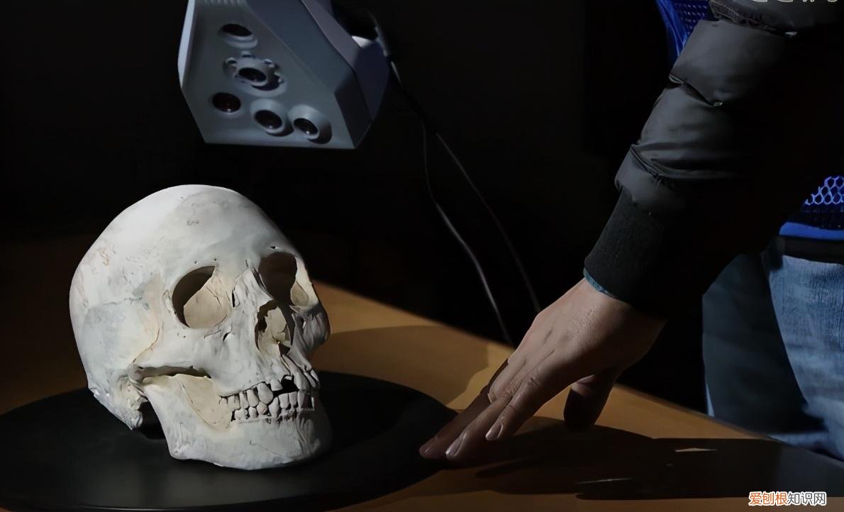 秦始皇真实长相复原图 秦始皇的真实长相容貌