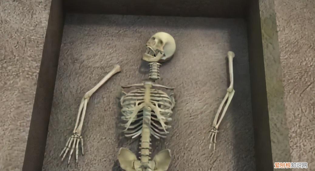 秦始皇真实长相复原图 秦始皇的真实长相容貌