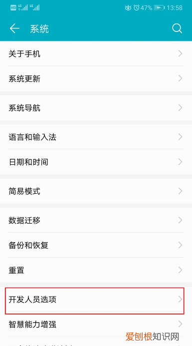 安卓手机怎么打开开发者模式，安卓手机如何进入开发者模式设置