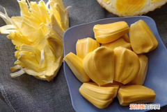 菠萝蜜吃多了会放屁 菠萝蜜吃多了会不会放屁