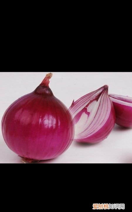 冷冻洋葱最好吃的十种做法，洋葱是热性还是凉性 洋葱是热性的