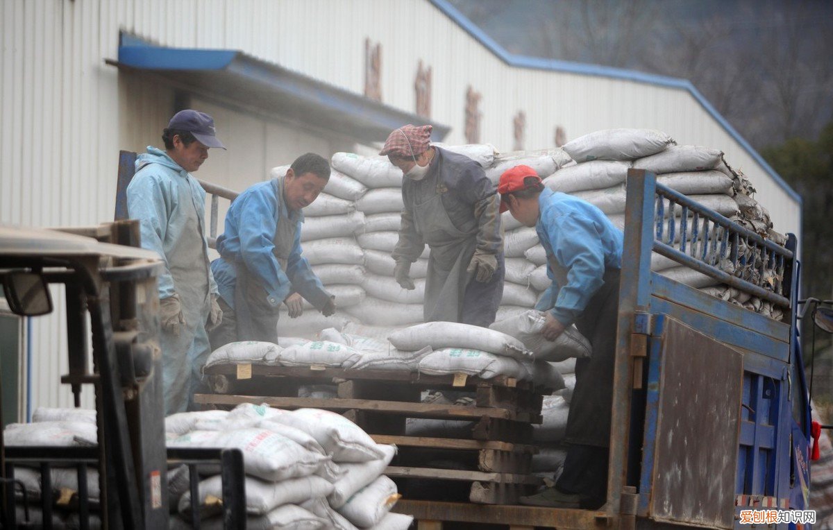 种庄稼用磷肥，磷肥有什么作用？不同的磷肥施用时注意什么 磷肥的作用