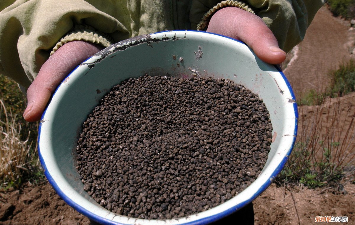 种庄稼用磷肥，磷肥有什么作用？不同的磷肥施用时注意什么 磷肥的作用