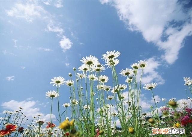 情侣个人说明表达幸福的句子