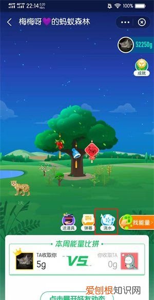 蚂蚁森林应该要怎么浇水,蚂蚁森林怎么给好友浇水