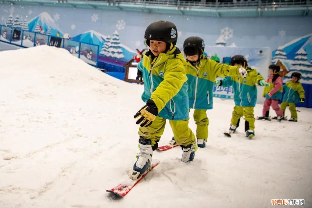 中国申请冬季奥运会成功是哪一年 北京成功获得2022年冬奥会举办权