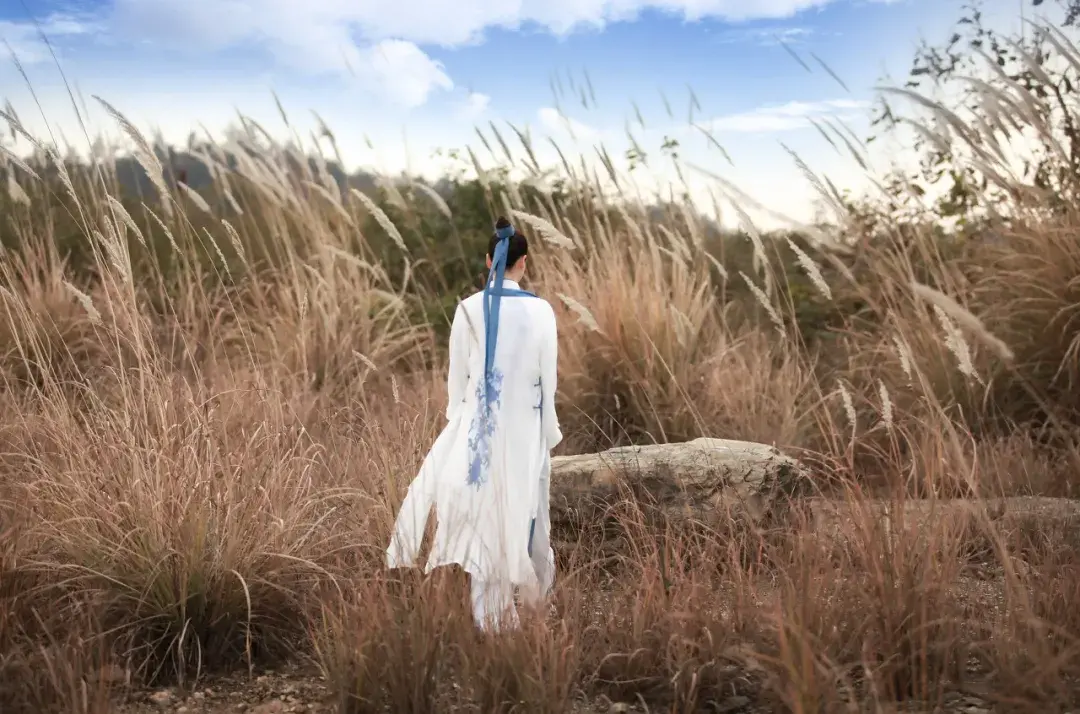 穷当益坚,不坠青云之志的意思 穷当益坚不坠青云之志的意思