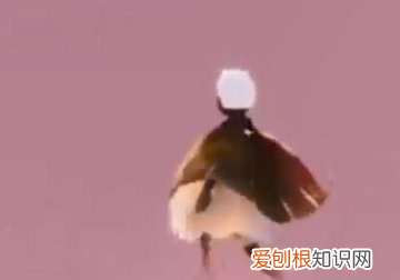 光遇晨岛如何过关,光遇无翼怎么过晨岛不拿小金人