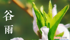 关于春季的北方俗语，谷雨可以吃梨 谷雨能不能吃梨
