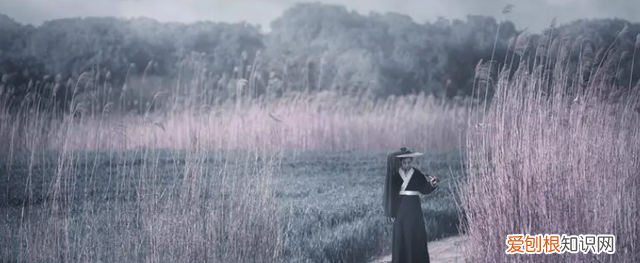 好看的穿越金庸武侠类小说排行榜 最好看的武侠小说笑傲江湖