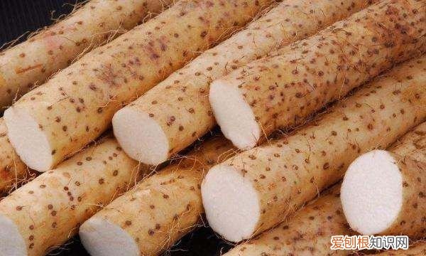 河南农历十月种什么蔬菜，寒露种植什么蔬菜 寒露种植哪些蔬菜