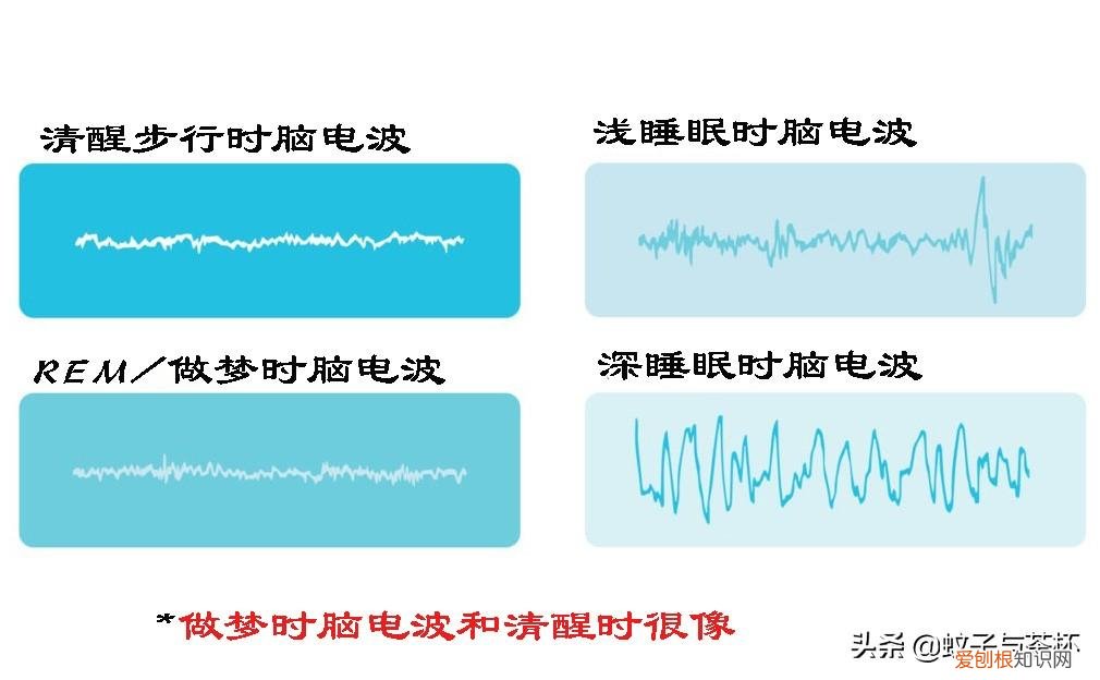 人为什么会做梦呢答案是什么 人为什么会做梦