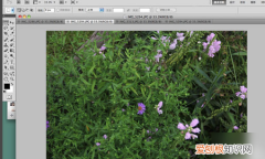 可以如何用PS批量裁剪，ps软件如何批量处理照片大小