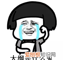 word大纲视图自动生成目录