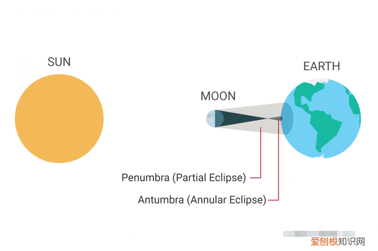 日全食日环食日偏食示意图 日全食和日环食区别图解