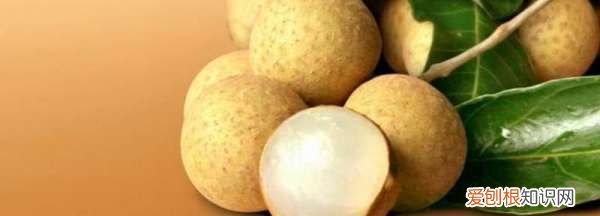 博白桂圆和普通桂圆的区别，桂圆糖分高 桂圆的糖分高不高