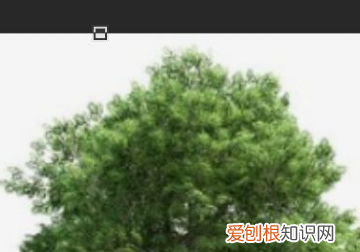 ps怎么拉伸局部不变形，ps怎么不改变比例拉伸图片