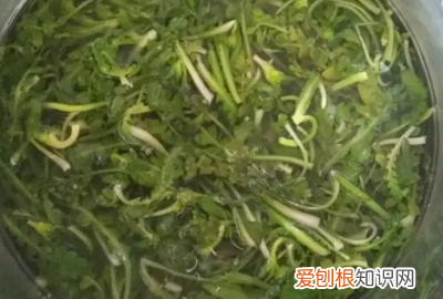 荠菜豆腐羹的做法，荠菜豆腐羹的家常做法