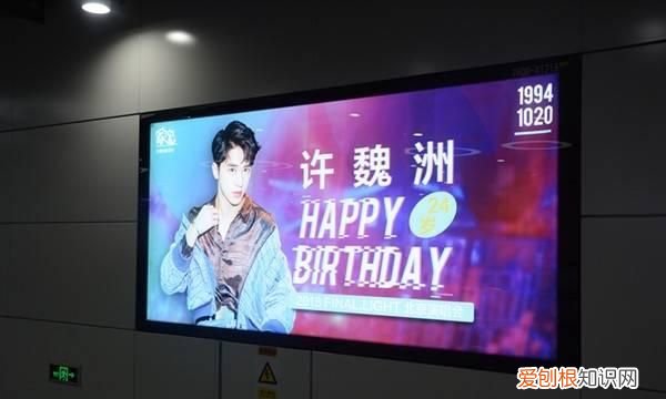 饭圈是躺粉什么意思,网信办整治无底线追星及饭圈互撕