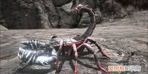 方舟生存进化巨蝎如何驯服，方舟巨蝎蛋饲料怎么做不出来
