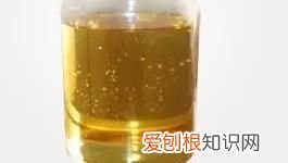 什么橘子直接可以剥皮，生橘子皮可以直接吃 直接吃生橘子皮可以